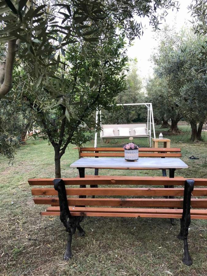 Green Olive Studios 2 Ayios Mamas Buitenkant foto