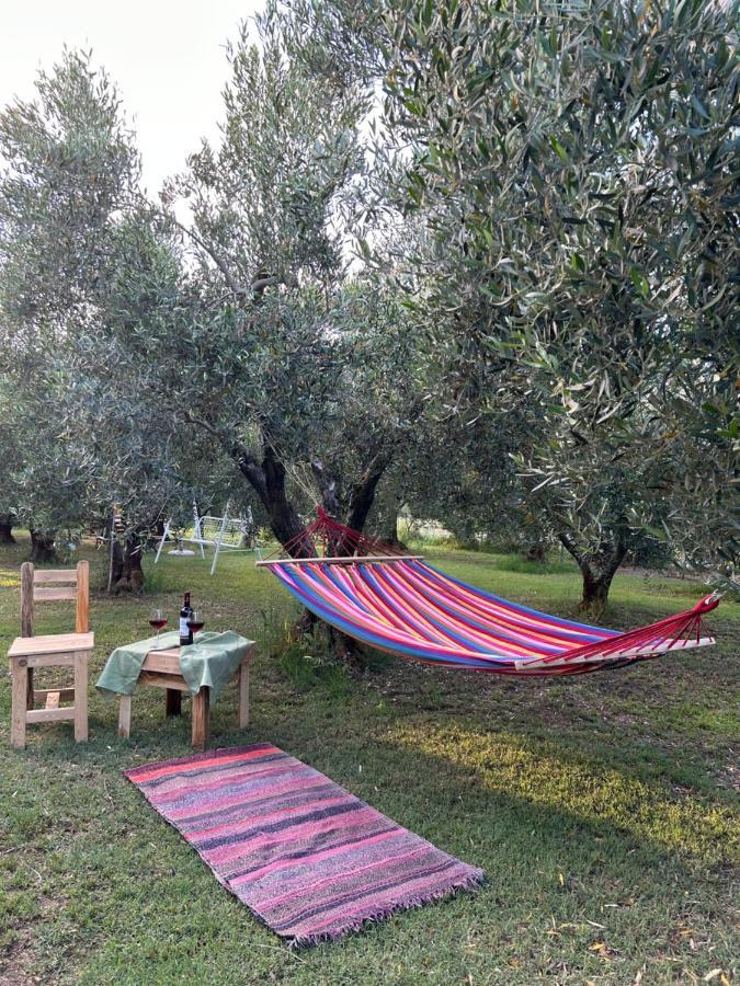 Green Olive Studios 2 Ayios Mamas Buitenkant foto